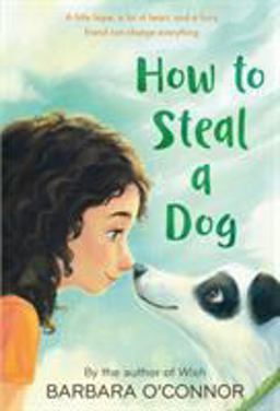 How to Steal a Dog A Novel  9780312561123 Front Cover