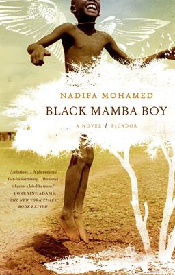 Black Mamba Boy A Novel  9780312569235 Front Cover