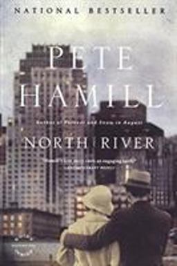 North River A Novel  9780316007993 Front Cover