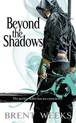 Beyond the Shadows  9780316033664 Front Cover
