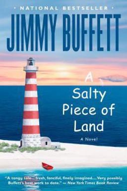 Salty Piece of Land  9780316059961 Front Cover