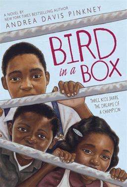 Bird in a Box  9780316074025 Front Cover
