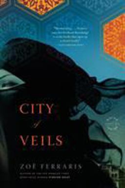 City of Veils A Novel  9780316074261 Front Cover