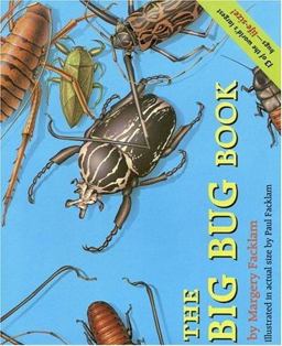 The Big Bug Book