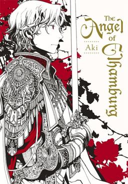 Angel of Elhamburg  9780316340465 Front Cover