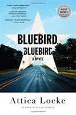 Bluebird, Bluebird  9780316363273 Front Cover