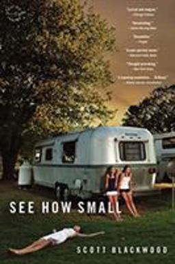 See How Small A Novel  9780316373944 Front Cover