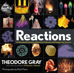 Reactions: An Illustrated Exploration of Elements, Molecules, and Change in the Universe  9780316391221 Front Cover