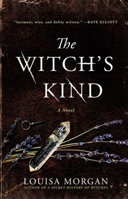 Witch's Kind A Novel  9780316419468 Front Cover
