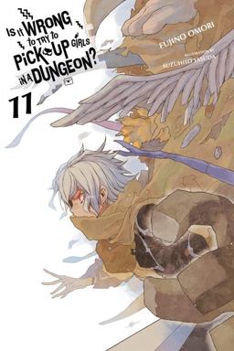 Is It Wrong to Try to Pick up Girls in a Dungeon?, Vol. 11 (light Novel)  9780316442473 Front Cover