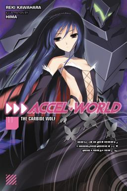 Accel World, Vol. 11 (light Novel)