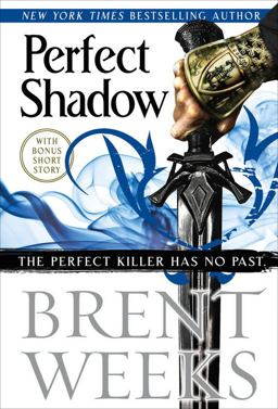 Perfect Shadow  9780316477406 Front Cover