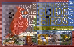 Stokes Beginner's Guide to Birds Eastern Region  9780316818117 Front Cover