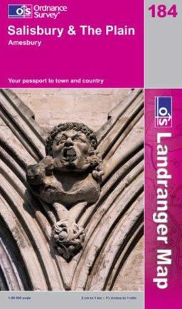 Salisbury and the Plain, Amesbury