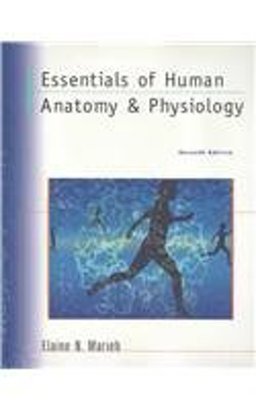 Essential Human Anatomy and Physiology Essential Human Anatomy and Physiology