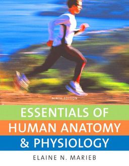 Essentials of Human Anatomy and Physiology