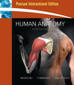 Human Anatomy Human Anatomy