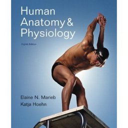 Human Anatomy and Physiology
