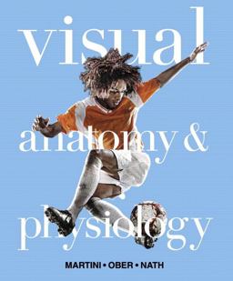 Visual Anatomy and Physiology Visual Anatomy and Physiology