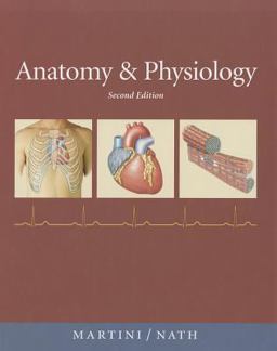 Anatomy and Physiology Anatomy and Physiology