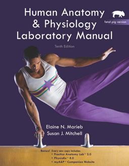 Human Anatomy and Physiology Lab Manual, Fetal Pig Version 10th 9780321616135 Front Cover