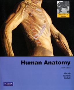 Human Anatomy Human Anatomy
