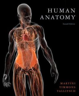 Human Anatomy Human Anatomy