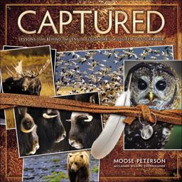 Captured Lessons from Behind the Lens of a Legendary Wildlife Photographer  9780321720597 Front Cover