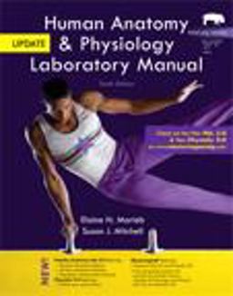 Human Anatomy and Physiology Human Anatomy and Physiology