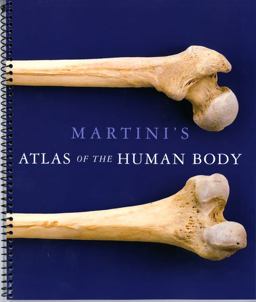 Martini's Atlas of the Human Body Martini's Atlas of the Human Body