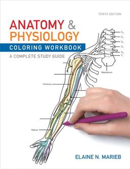 Anatomy and Physiology Coloring Workbook Anatomy and Physiology Coloring Workbook