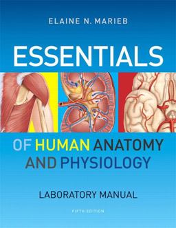 Essentials of Human Anatomy and Physiology Laboratory Manual