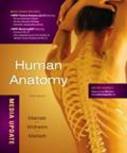 Human Anatomy Human Anatomy