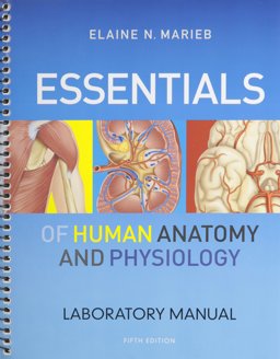 Essentials of Human Anatomy and Physiology and Essentials of Human Anatomy and Physiology Laboratory Manual Essentials of Human Anatomy and Physiology and Essentials of Human Anatomy and Physiology Laboratory Manual