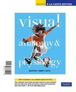 Visual Anatomy and Physiology Visual Anatomy and Physiology