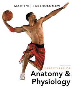 Essentials of Anatomy and Physiology Essentials of Anatomy and Physiology