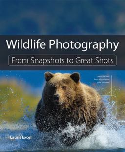 Wildlife Photography From Snapshots to Great Shots  9780321794505 Front Cover