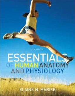 Essentials of Human Anatomy and Physiology Essentials of Human Anatomy and Physiology