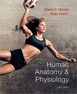 Human Anatomy and Physiology (Text Component) Human Anatomy and Physiology (Text Component)