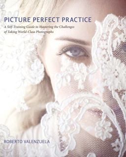 Picture Perfect Practice A Self-Training Guide to Mastering the Challenges of Taking World-Class Photographs  9780321803535 Front Cover