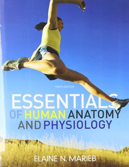 Essentials of Human Anatomy and Physiology Laboratory Manual, and Essentials of Human Anatomy and Physiology Plus MasteringA&P with EText Package Essentials of Human Anatomy and Physiology Laboratory Manual, and Essentials of Human Anatomy and Physiology Plus MasteringA&P with EText Package