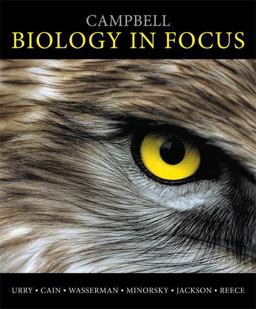 Campbell Biology in Focus  9780321813800 Front Cover