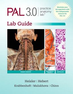 Practice Anatomy Lab 3. 1 Lab Guide  9780321840257 Front Cover
