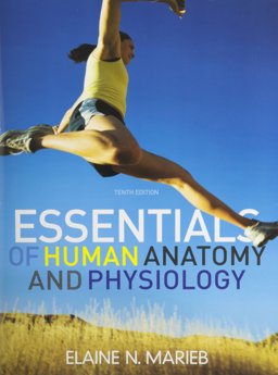 Essentials of Human Anatomy and Physiology Laboratory Manual, Essentials of Human Anatomy and Physiology Plus MasteringA&P with EText Package, and Get Ready Essentials of Human Anatomy and Physiology Laboratory Manual, Essentials of Human Anatomy and Physiology Plus MasteringA&P with EText Package, and Get Ready