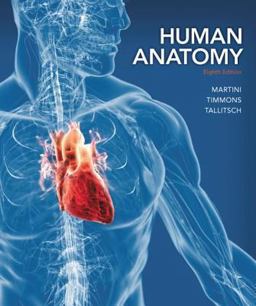 Human Anatomy 8th 9780321883322 Front Cover