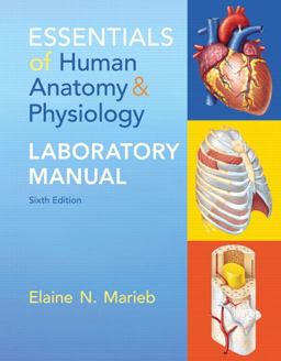 Essentials of Human Anatomy and Physiology Laboratory Manual