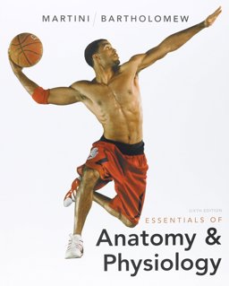 Essentials of Anatomy and Physiology Essentials of Anatomy and Physiology