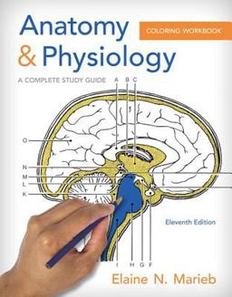 Anatomy and Physiology Coloring Workbook Anatomy and Physiology Coloring Workbook
