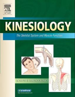 Kinesiology The Skeletal System and Muscle Function  9780323025249 Front Cover