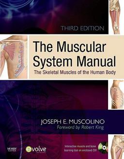 Muscular System Manual The Skeletal Muscles of the Human Body 3rd 9780323057233 Front Cover